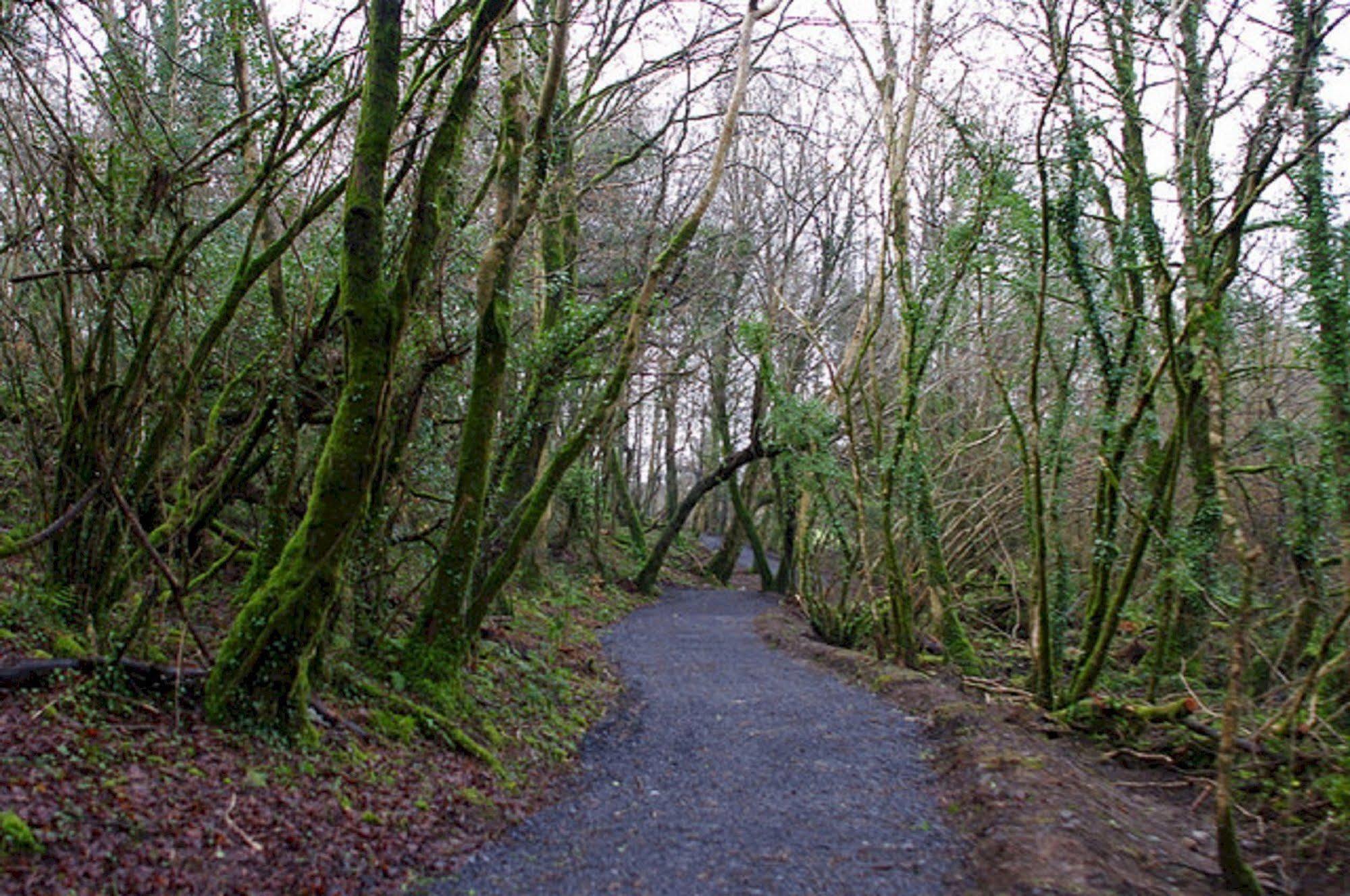 Breaffy Woods Hotel Castlebar Eksteriør billede
